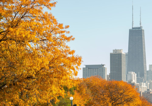 The Allure of Lincoln Park, Michigan for Documentary Filmmaking